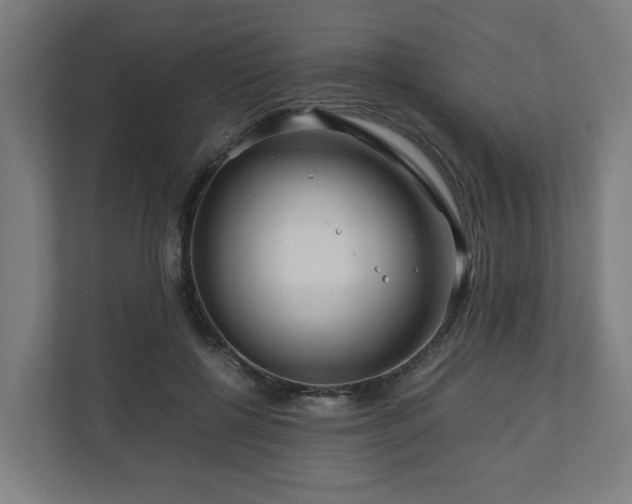 X0000111120552200907070959