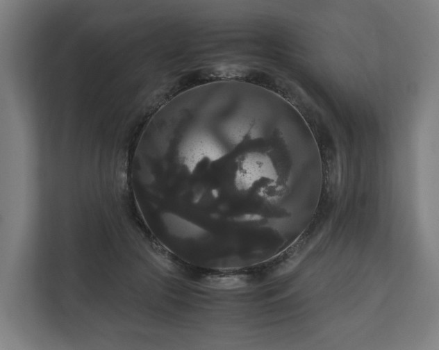 X0000111120553200907071000