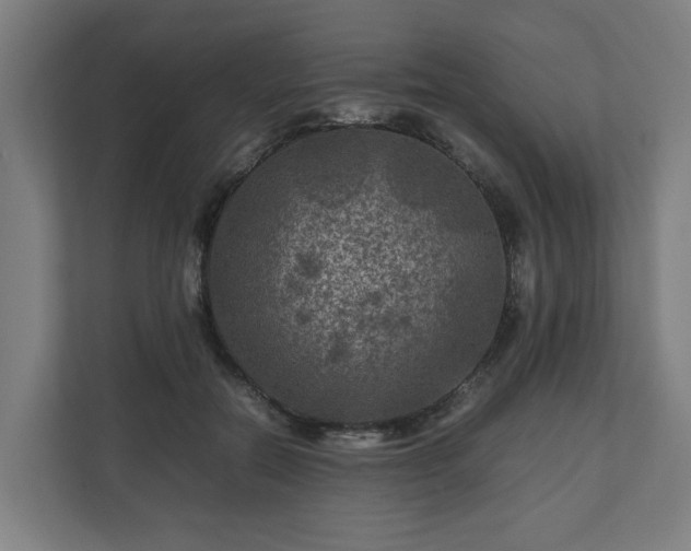 X0000111120554200907071000