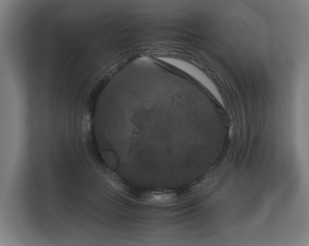 X0000111120555200907071000