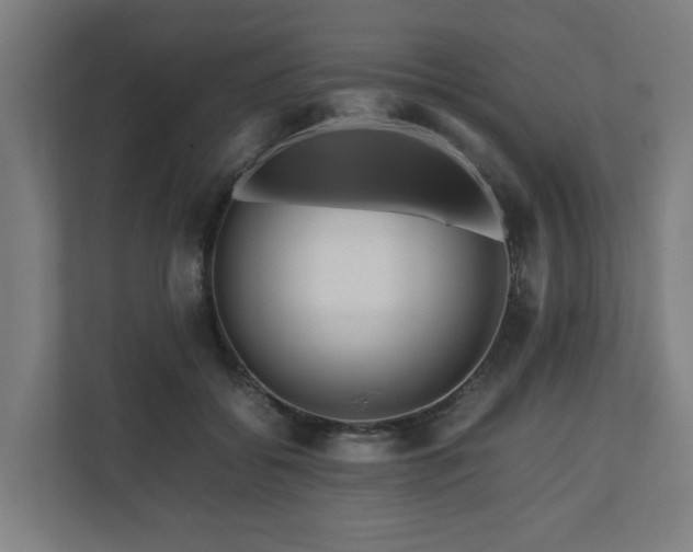 X0000111120556200907071000