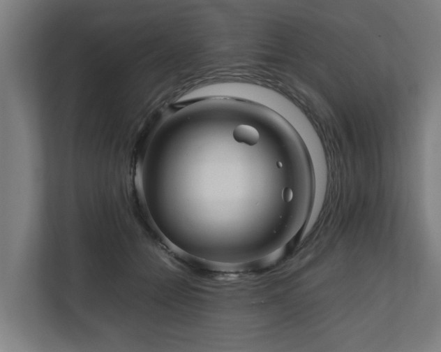 X0000111120558200907071000