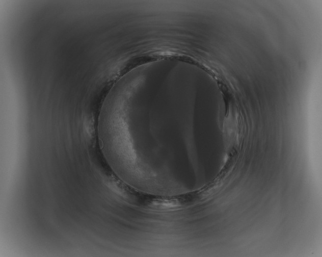 X0000111120559200907071000