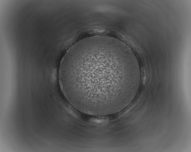 X0000111120563200907071000