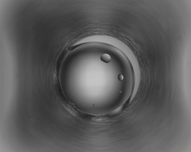 X0000111120564200907071000