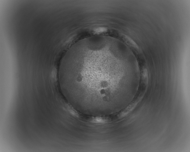 X0000111120565200907071000