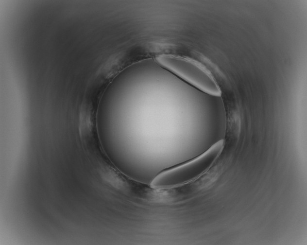 X0000111120566200907071000