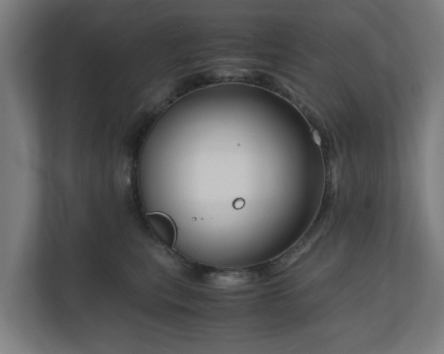 X0000111120567200907071000