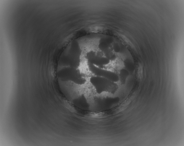 X0000111120569200907071000