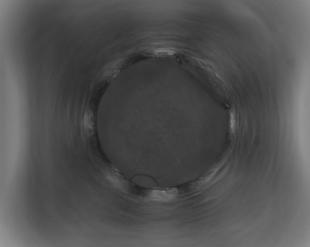 X0000111120571200907071000