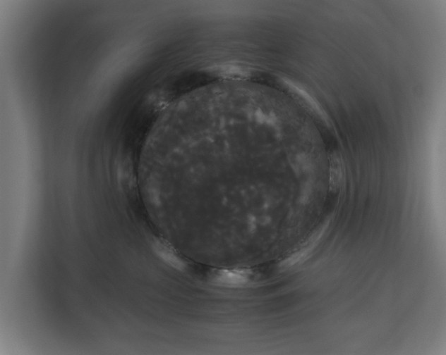 X0000111120573200907071000