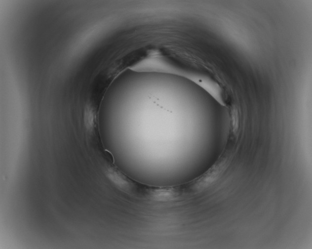 X0000111120574200907071000