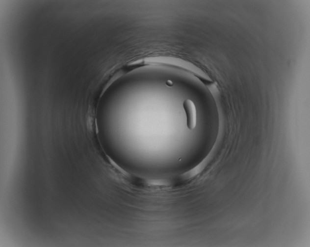 X0000111120576200907071000