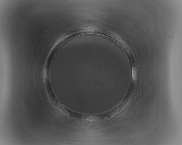 X0000111120579200907070959