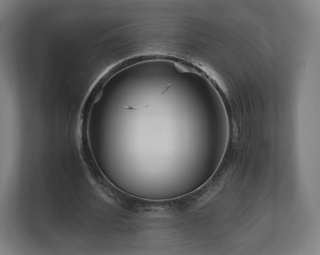 X0000111120580200907070959