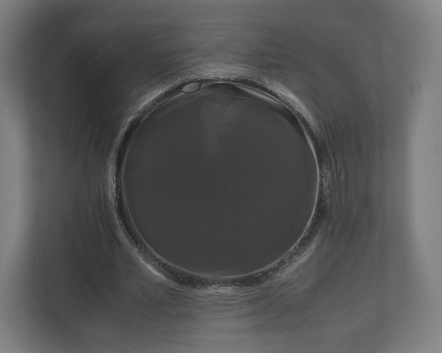 X0000111120581200907070959