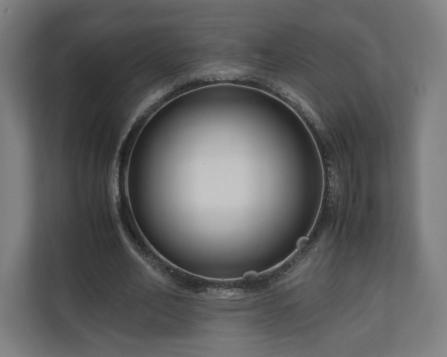 X0000111120582200907070959