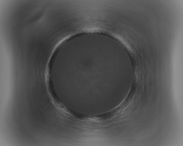 X0000111120583200907070959