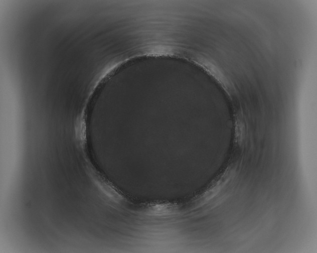 X0000111120584200907070959