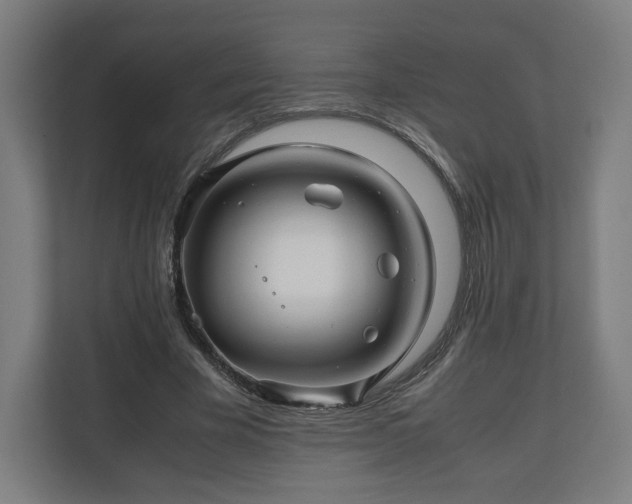 X0000111120585200907070959