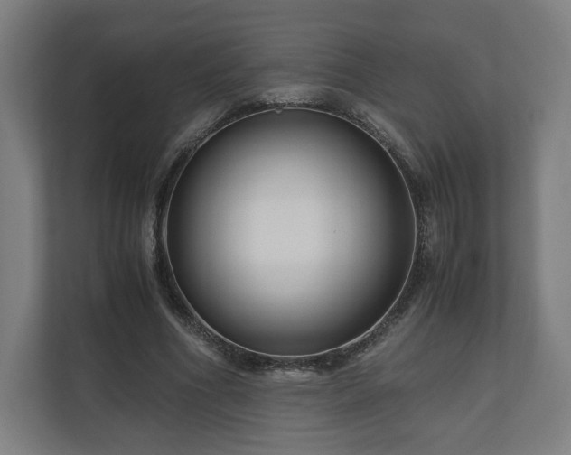 X0000111120586200907070959