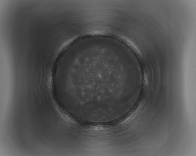 X0000111120588200907070959