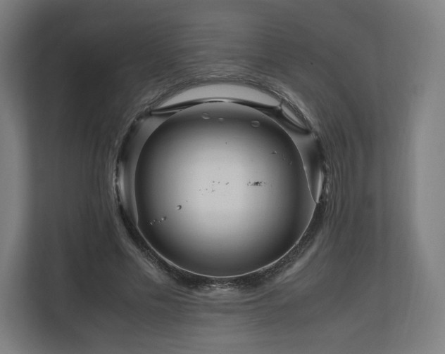 X0000111120589200907070959