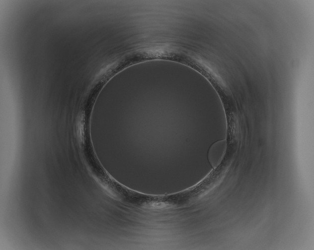 X0000111120590200907070959