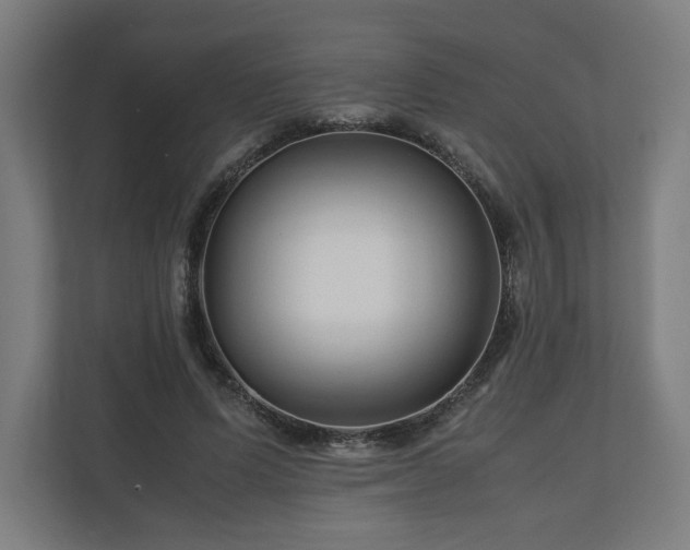 X0000111120591200907070959