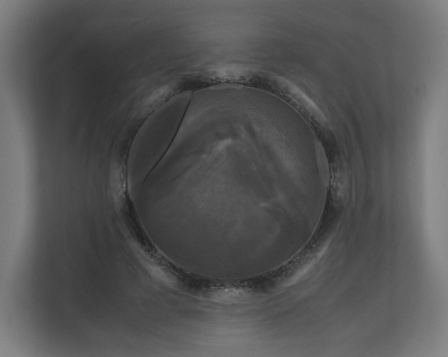 X0000111120593200907070959