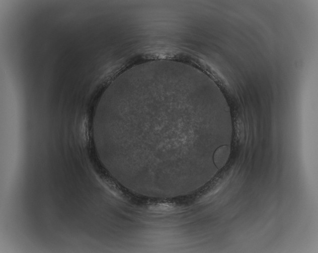 X0000111120594200907070959