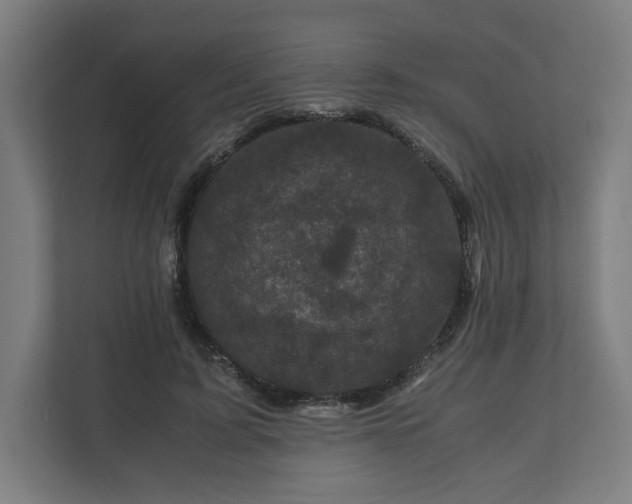 X0000111120595200907070959