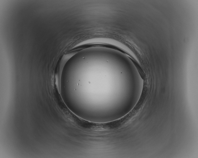 X0000111120597200907070959