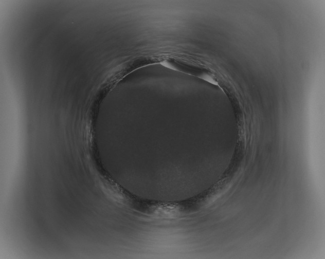 X0000111120599200907070959