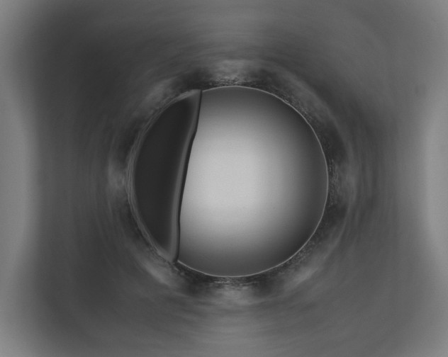 X0000111120601200907070959