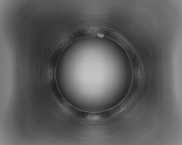 X0000111120602200907070959