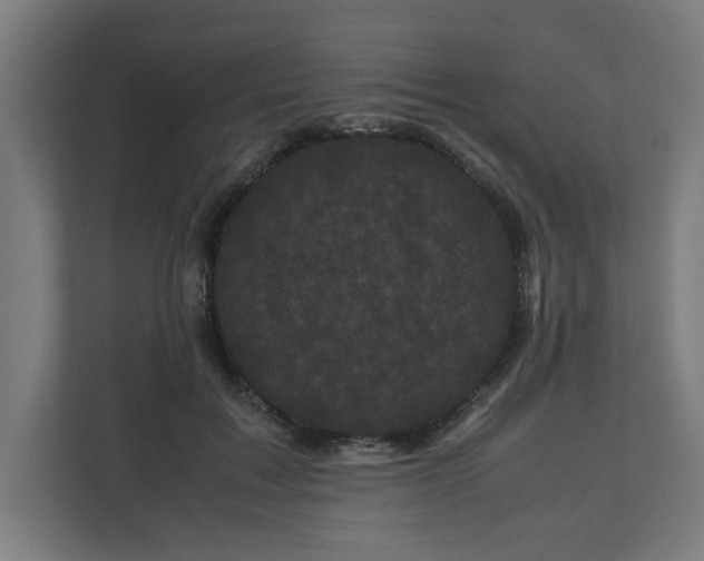 X0000111120603200907070959