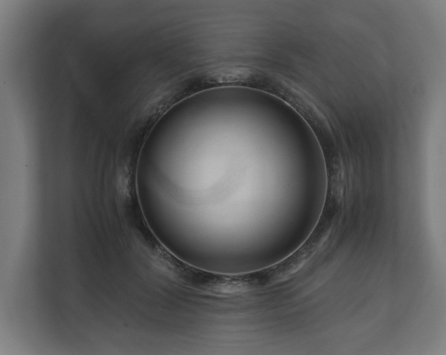 X0000111120604200907070959