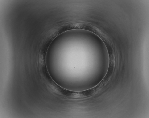 X0000111120605200907070959