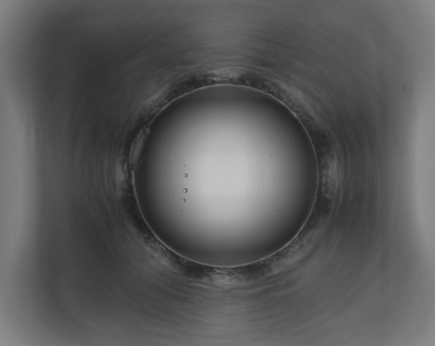 X0000111120608200907070959