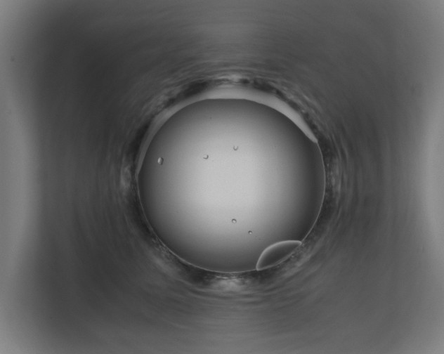 X0000111120611200907070959