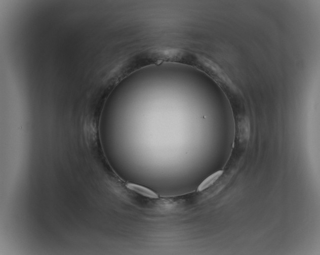 X0000111120613200907070959