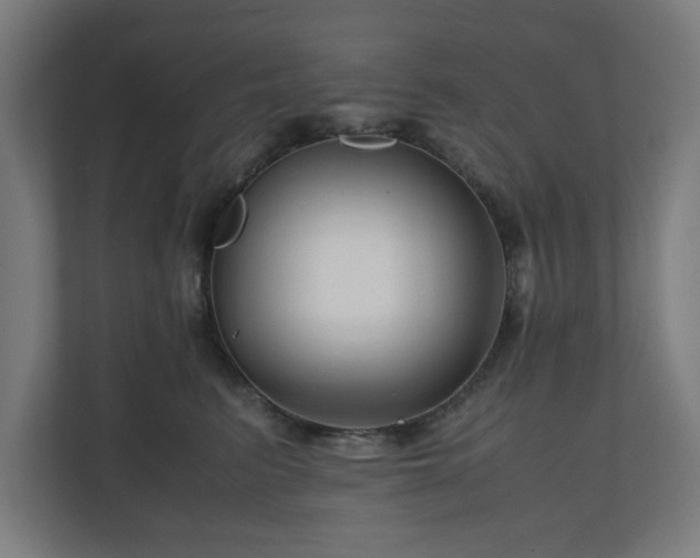 X0000111120615200907070959