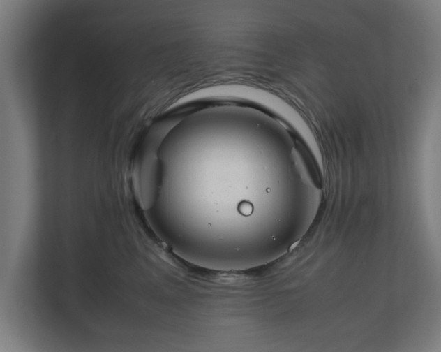 X0000111120617200907070959