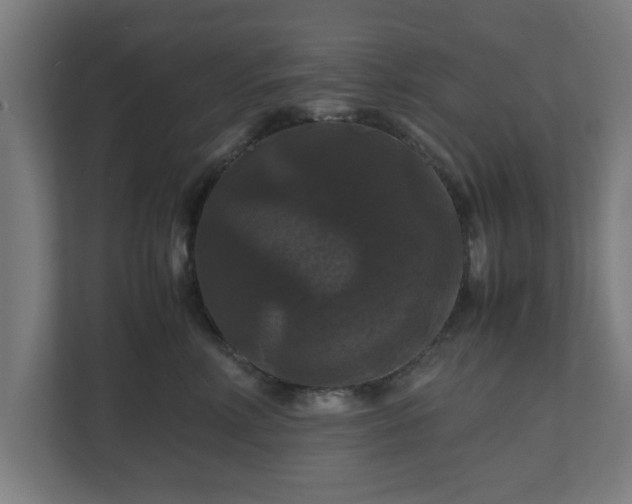 X0000111120618200907070959