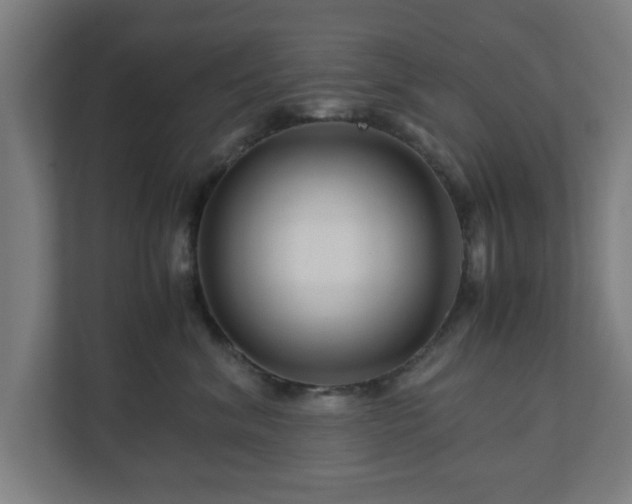 X0000111120620200907070959