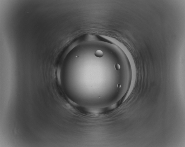 X0000111120621200907070959