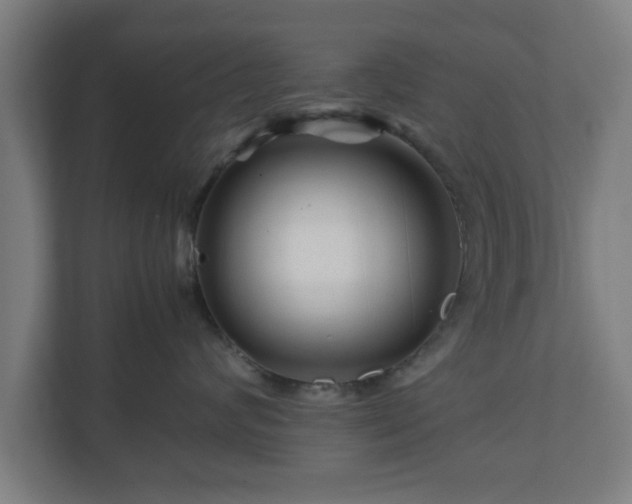 X0000111120624200907070959