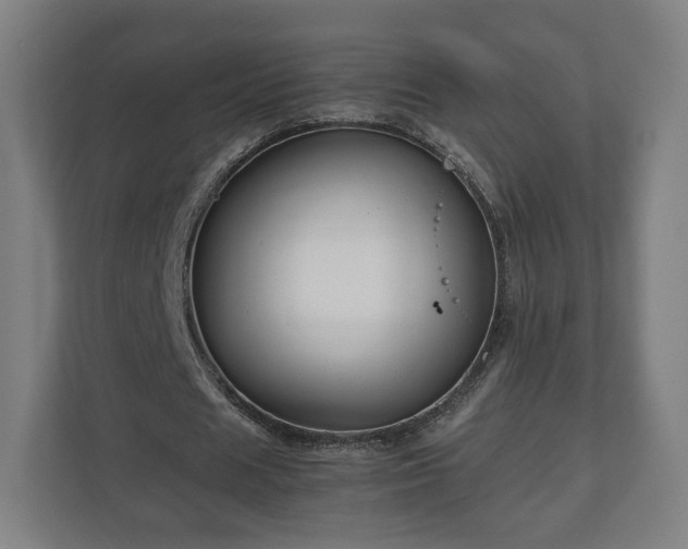 X0000111120625200907070958