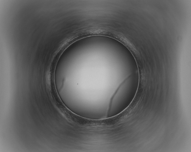 X0000111120626200907070958